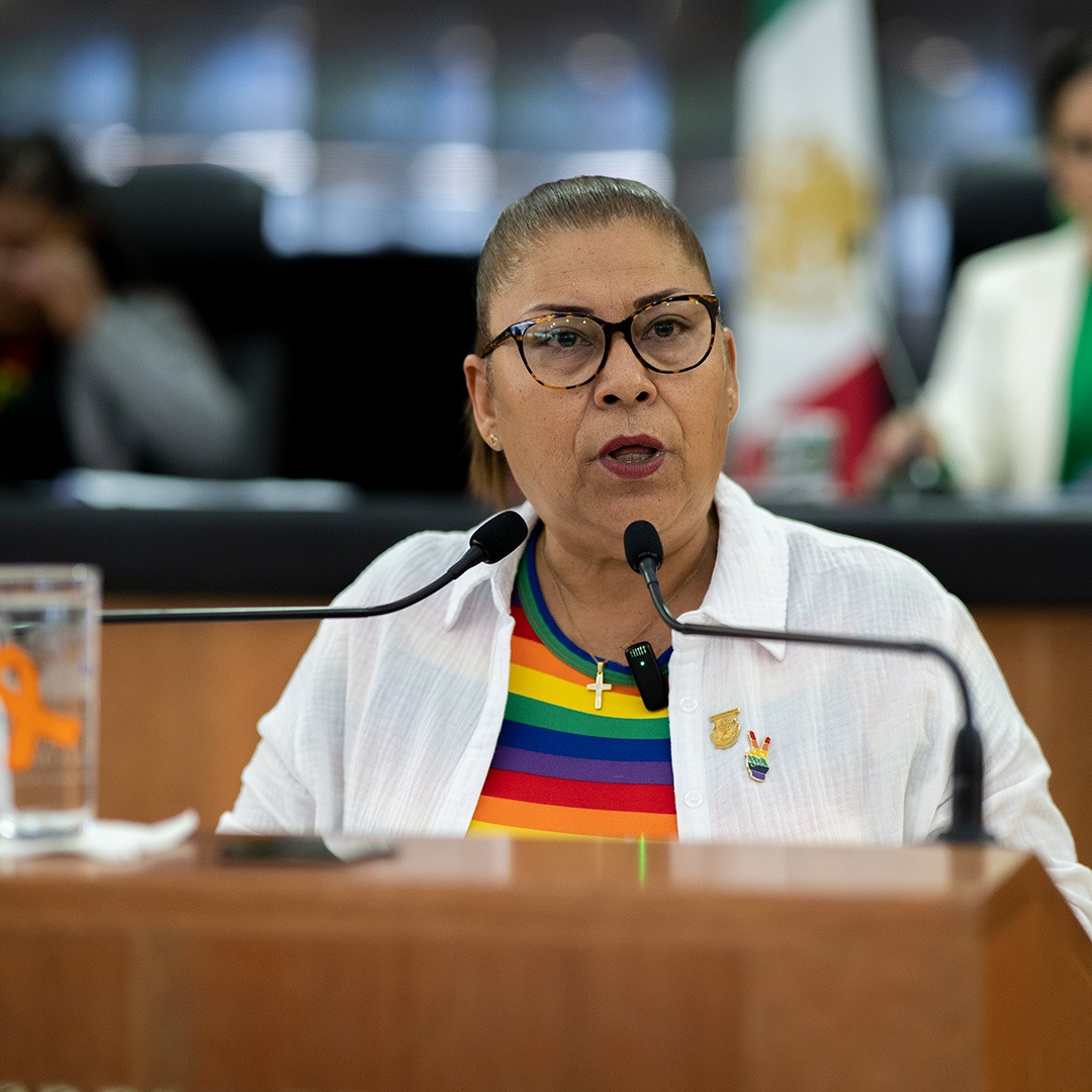 La Diputada María Guadalupe Moreno Higuera (Morena), propuso una iniciativa para declarar junio de cada año, “Mes del Orgullo LGBTTTIQ+, en el Estado de Baja California Sur”