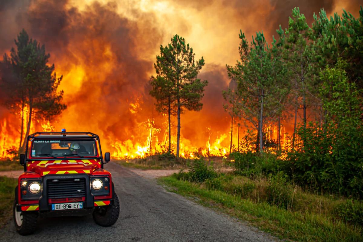 VÍDEO: Incendios en varios países, ola de calor y altas temperaturas ¡ARDE EUROPA!