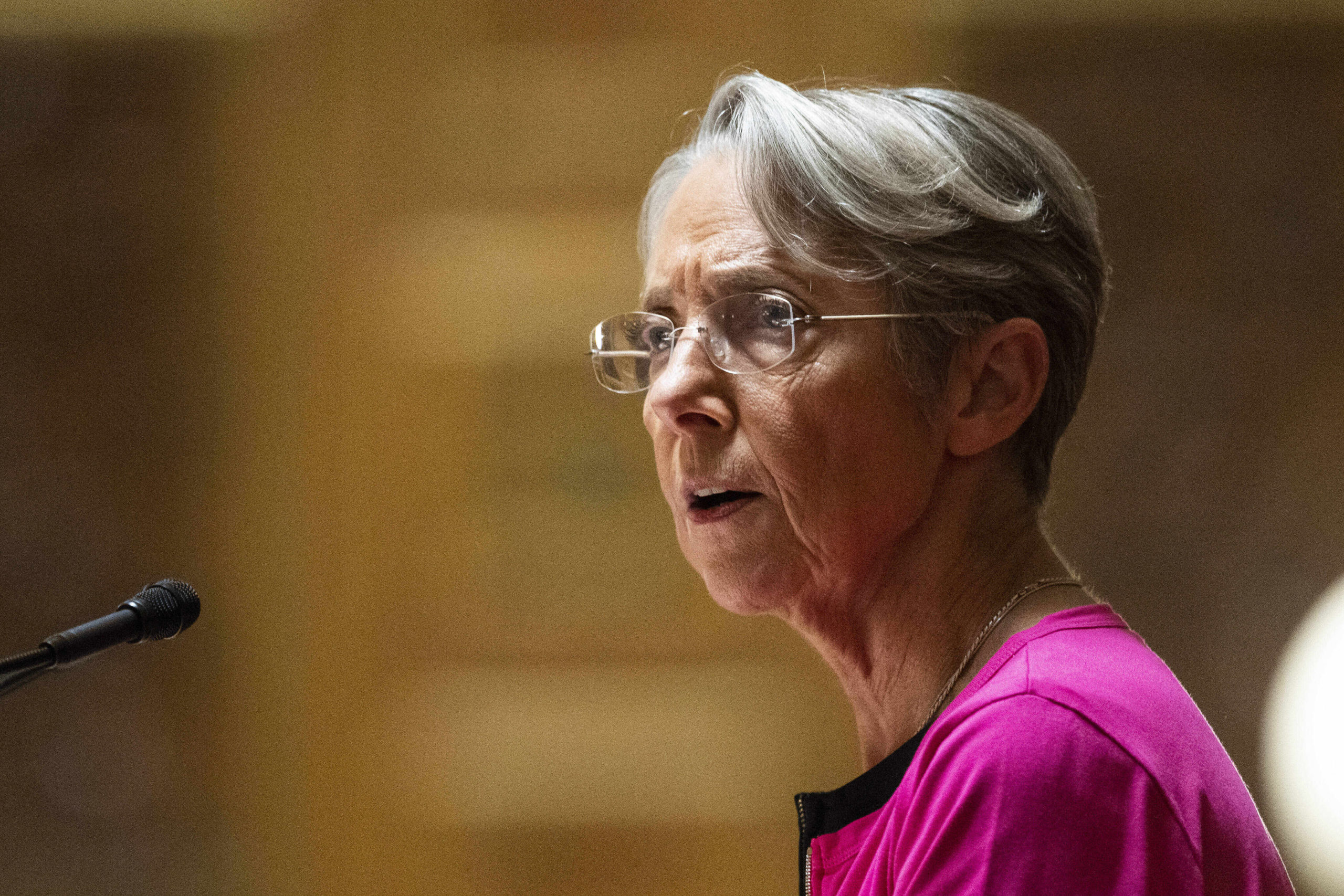 Francia anuncia su intención de nacionalizar la energía eléctrica