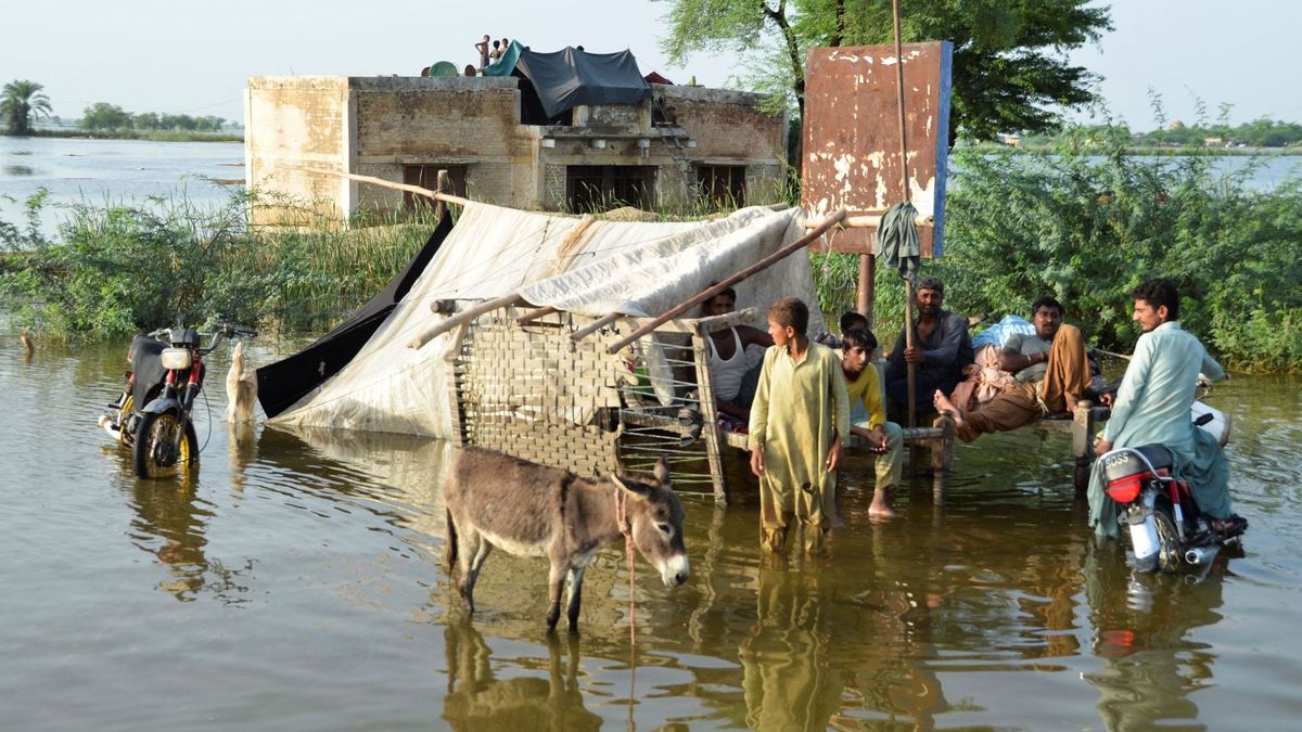 Inundaciones en Pakistán han dejado más de 1.000 muertos