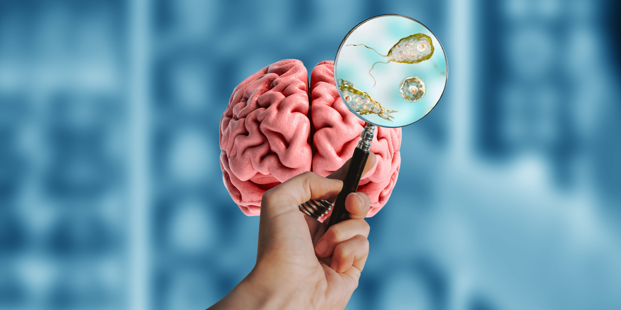 Comecerebros? Confirman caso de amiba en Florida; persona muere tras lavarse la nariz con agua de grifo