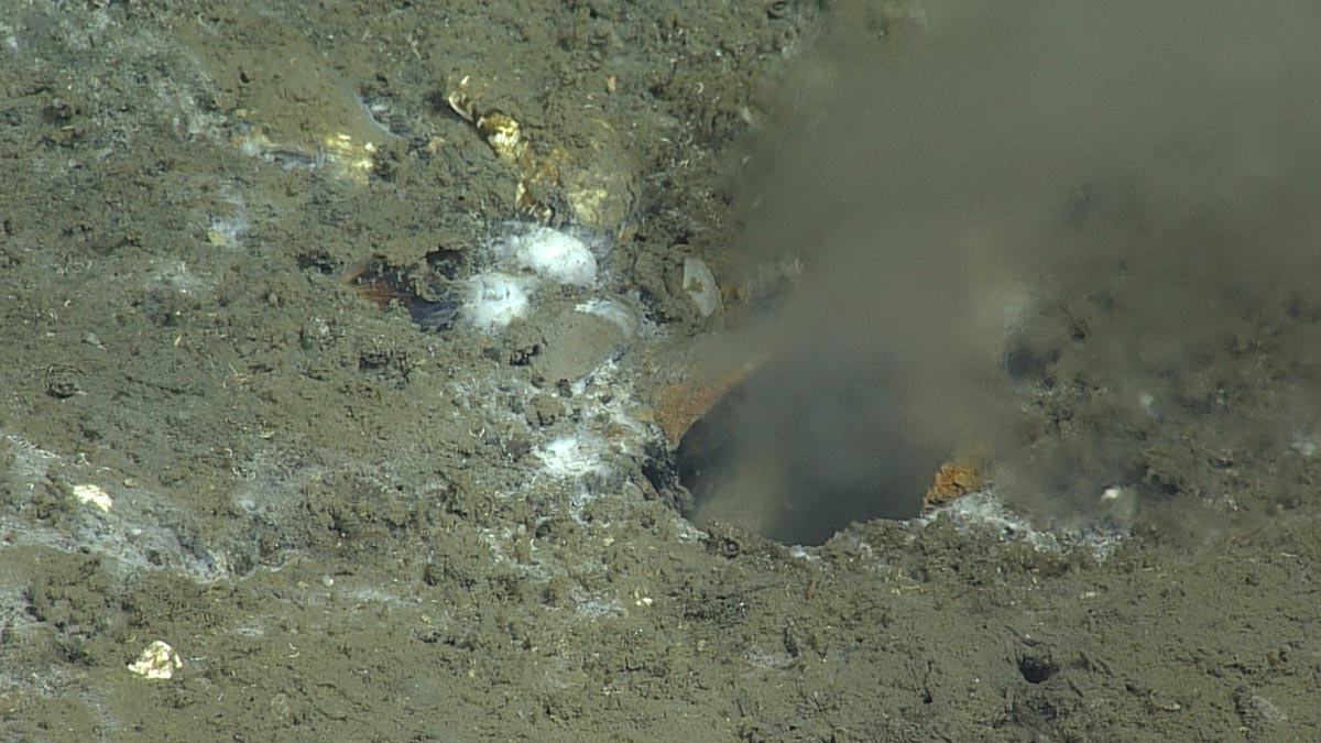 Investigan extraños agujeros en el fondo del mar que arrojan fluidos antiguos desde el interior de la Tierra