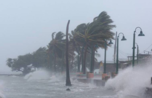 Huracán Hilary se debilita a categoría 1; continúa acercándose a península de Baja California