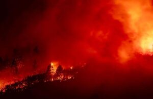 VÍDEO| Se confirma que el incendio de Tenerife fue «provocado» y hay tres líneas de investigación