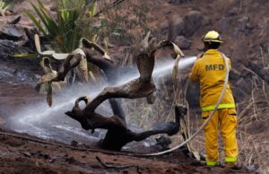 El número de muertos en el incendio forestal de Lahaina aumenta a 99 mientras cientos siguen desaparecidos