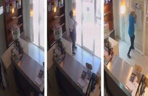 Como “rata enjaulada“, Ladrón queda atrapado en panadería de Campeche