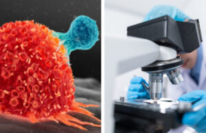 Científicos buscan molécula para que el cáncer se autodestruya