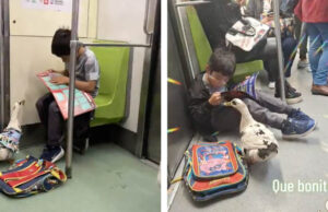 Niño y su pato mascota son captados en el metro de la CDMX y las redes no pueden con tanta ternura