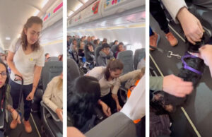 Piden a joven que baje de avión porque su perro de apoyo emocional no tenía bozal; pasajeros se unen para defenderla