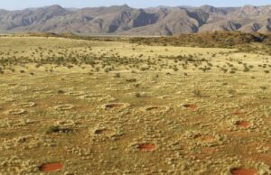 Cientos de enigmáticos “círculos de hadas” emergen en varios sitios del planeta
