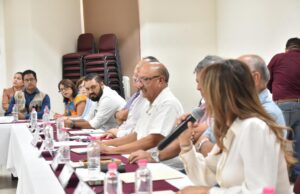 Celebra diputada Teresita Valentín obras de electrificación en comunidades muleginas