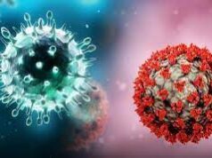 Pirola: Estos son los síntomas de la nueva variante de covid que preocupa a la OMS