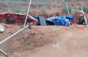 Empresas aplasta con maquinaria albergué de animales; mata a 19 perros y 3 gatos en Ensenada