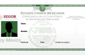 ¿Cómo Sería la Nueva CURP con Fotografía? Estos Elementos Tendría Formato Digital