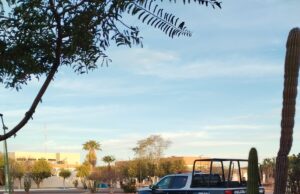 Así las cosas en la UABCS