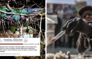 Seis cárteles mexicanos son designados como terroristas por Estados Unidos