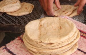 ¿Cuántas tortillas debo comer al día, según NutrIMSS?