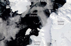 Nuevo iceberg del tamaño de Chicago se desprende en la Antártida: impactante animación