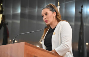 Propone diputada Arlene Moreno Maciel aumento de penalidad a quien incida en terapias de conversión
