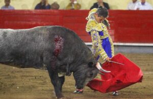 Con 61 votos a favor, Congreso de CDMX aprueba prohibir violencia en corridas taurinas