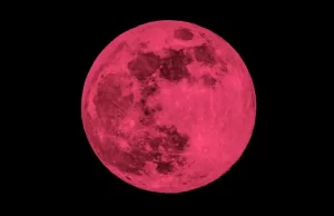 Luna Rosa; Fenómeno Será Visible el 12 Abril 2025