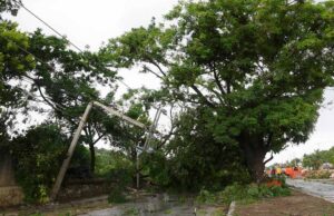 Clima México 2 de abril: se pronostican vientos intensos en estados del norte