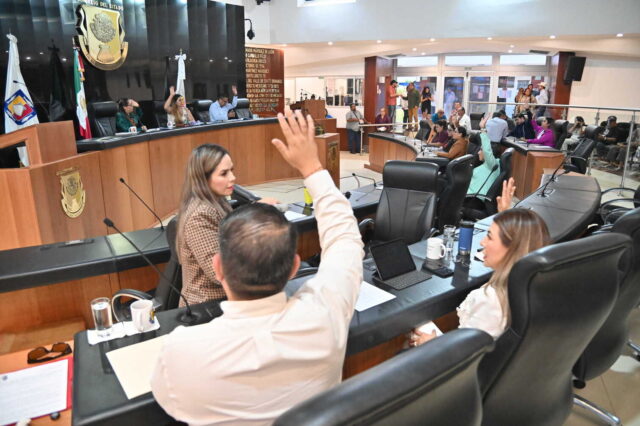 PLENO 4 250617 (1)