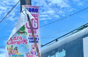 Continúan operativos para regularización de anuncios publicitarios en Los Cabos