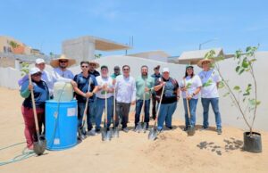Inician Jornada de Reforestación