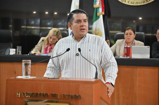 DIP FABRIZIO DEL CASTILLO 250923 2 (1)