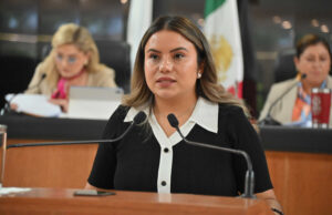 Proponen reformas para garantizar una defensa contra los daños que le cause la actividad irregular del Estado al ciudadano