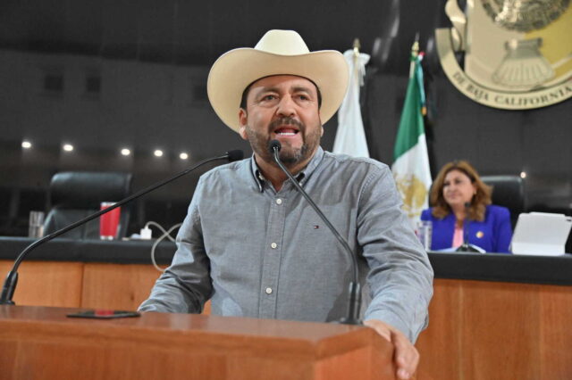 DIP VENUSTIANO PÉREZ SÁNCHEZ 250909 4 (1)