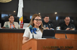 Propone Lupita Saldaña elevar a rango constitucional el derecho a la protección civil