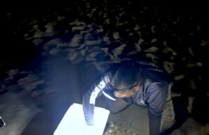 Coordinación interinstitucional garantiza la protección de tortuga marina en la playa El Corsario