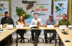Los Cabos será sede del 1er Festival Internacional de las Aves