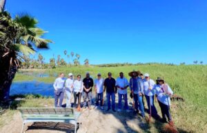 Refuerzan acciones integrales para conservación y cuidado del Estero de San José del Cabo