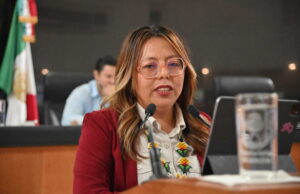 Que transporte de doble remolque circulen sólo en horarios nocturnos propone la diputada Teresita Valentín