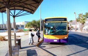 Implementarán medidas preventivas y ajustes en el transporte público por Halloween en Los Cabos