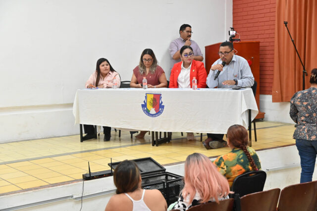 COMITE CONSULTIVO LEY PEA 251126 3