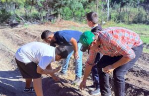 Realizan quinta siembra en el huerto escolar de Miraflores