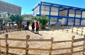 Promueven educación ambiental en escuelas de Cabo San Lucas