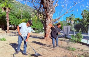 Concluyen labores de limpieza y mantenimiento en plaza pública Amelia Wilkes en Cabo San Lucas