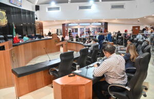 ESCAPARATE POLÍTICO Por Jesús Ojeda Castro