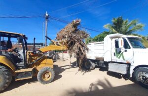 Servicios Públicos avanza en la limpieza y recuperación de espacios en San José del Cabo