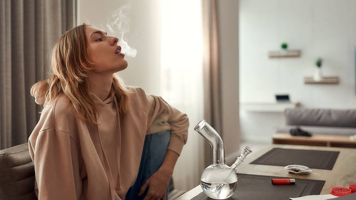 El consumo regular de marihuana daña la salud de los adolescentes, advierte un estudio