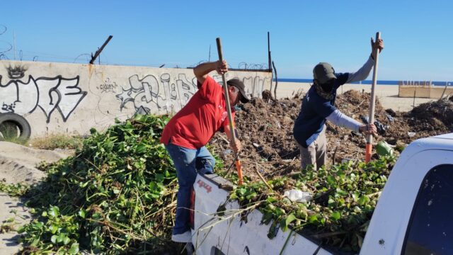 5- LABORES LIMPIEZA ESTERO JOSEFINO 2