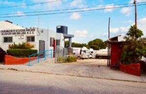 Habilitan centros de acopio para árboles de Navidad naturales en Los Cabos