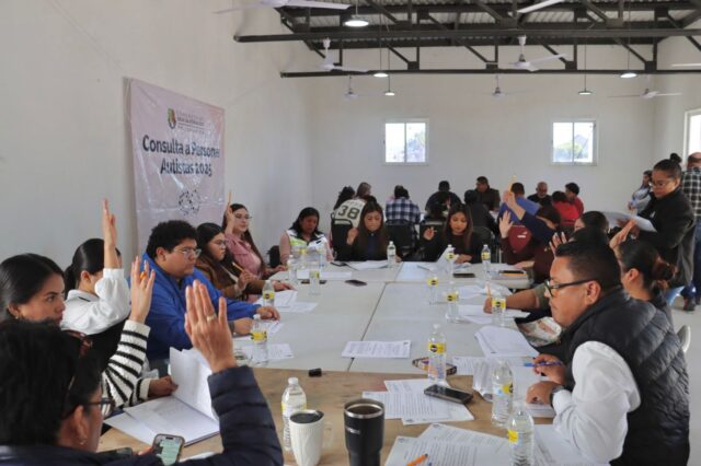 CONSULTA AUTISTA VIZCAINO 260114 1