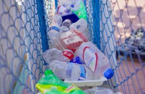 Desde Cabo San Lucas se promueven campañas permanentes de reciclaje del PET