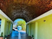 Dirección General de Fomento Económico invita a conocer el Trópico de Cáncer en Santiago